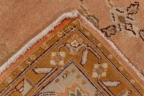 Antique Agra Area Rug (5' x 10')